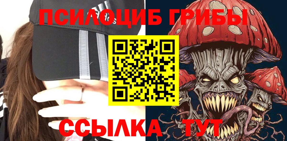 Псилоцибиновые грибы прущие грибы Губкин