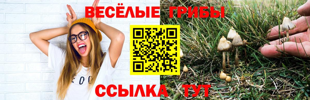 Галлюциногенные грибы мухоморы  Вход с VPN  сколько стоит  Губкин 